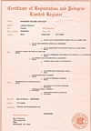 Bella's Certificate of Registration and Pedigree