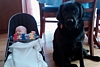 Bella & Jack