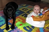 Bella playing with Jack